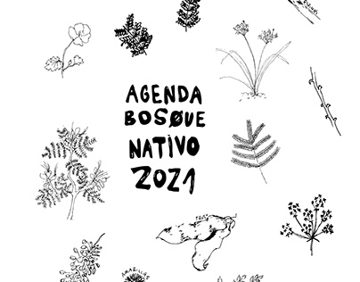 Agenda bosque nativo