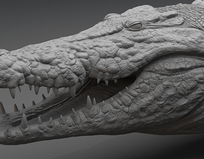 Crocodile Sculpt