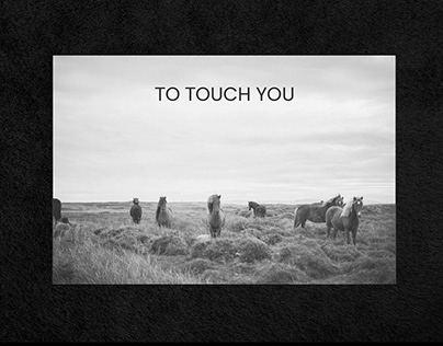 TO TOUCH YOU | brand of horse ammunition
