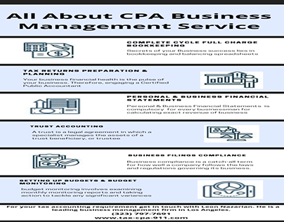 About CPA Business Management Service In Los Angeles