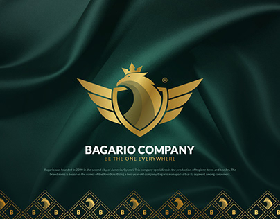 Logo | Bagario Company | Branding Identity