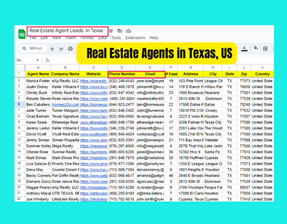 Real Estate Agent Leads in Texas, US
