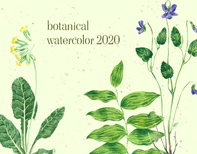 botanical watercolor | ботанические иллюстрации