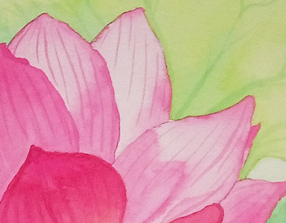 Ilustración flor de loto