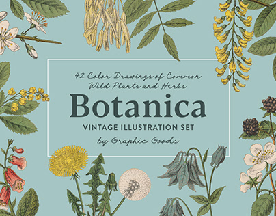Botanica - Vintage Illustration Set