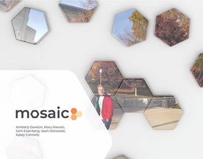 Mosaic Process Book