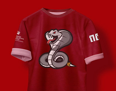 House teams t-shirts designs (NISC)