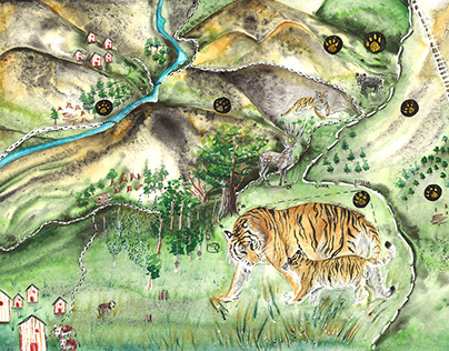 Amur tiger conservation