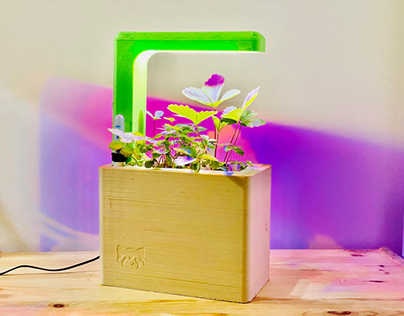 Smart Self Watering Pot with Grow Light