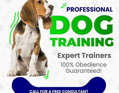 Best Dog Training Service in Agra