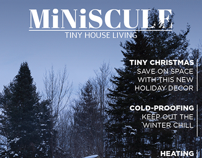 MiNiSCULE: Tiny House Living