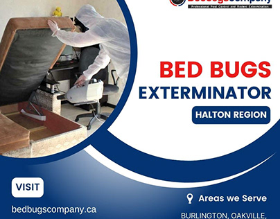 Bed Bugs Exterminator Halton