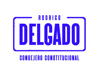 Rodrigo Delgado - Consejero Constitucional