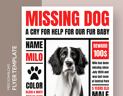 Free Editable Online Lost Dog Flyer Template