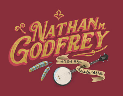 Disc cover for nathan