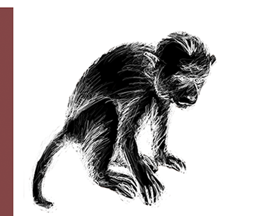 The Monkey - Visual Exploration
