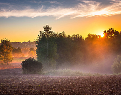 Autumn morning in the countryside