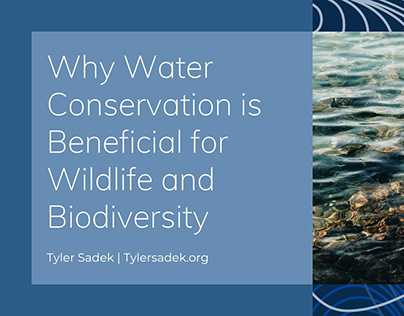 Why Water Conservation is Beneficial for Wildlife...