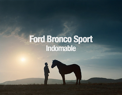 Project thumbnail - Ford Bronco Sport