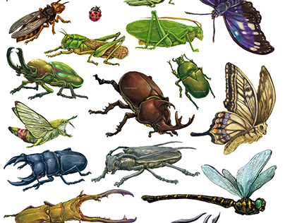 Insect Kingdom - 昆虫王国Sticker Stationery for Children