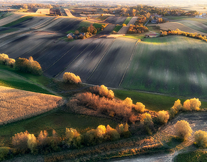 Autumn fields. Poland.
