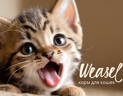 Дизайн-идентификация корма для кошек Wease