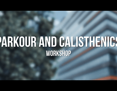 A Corporate Workshop on Parkour and Calisthenics
