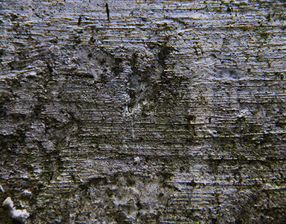 Background Photography Wall Texture