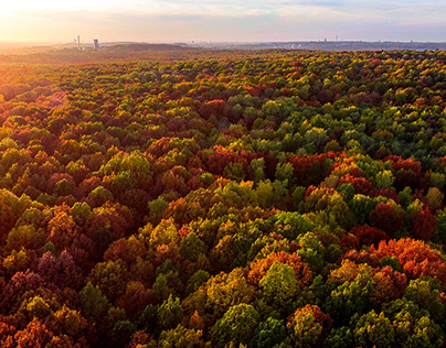 Autumn from the air