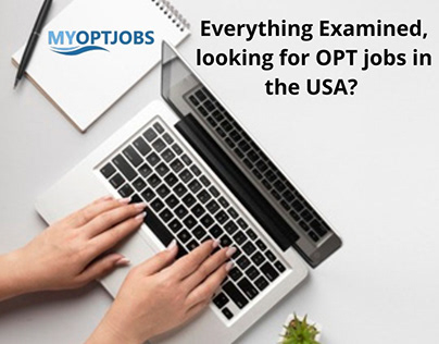 Everything Examined, looking for OPT jobs in the USA?