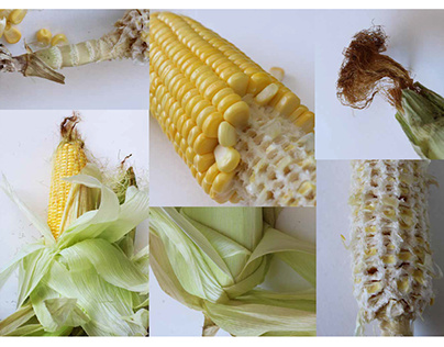 Story of a Crunchy Corn (Fabric Manipulation)