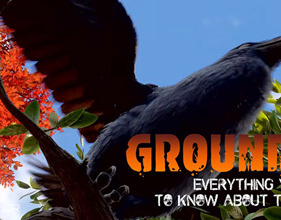 Everything to Know About Crow (Location, Use, and Drop)