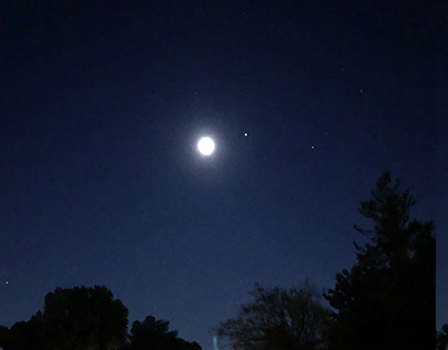 California Night Moon