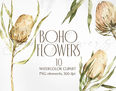 Watercolor Bohemian botany clipart