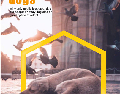 Magazine about Adopting  stray dogs