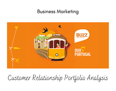 Business Marketing | Customer Portfolio Analysis