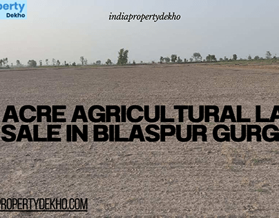 100 Acre Agricultural Land For Sale In Bilaspur