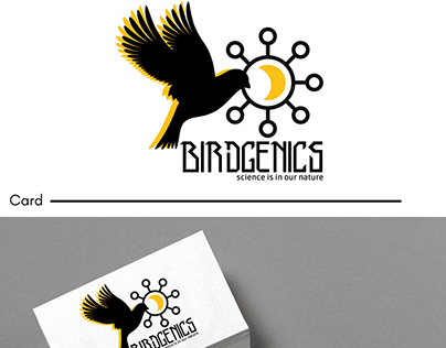 Birdgenics (Mood board project)