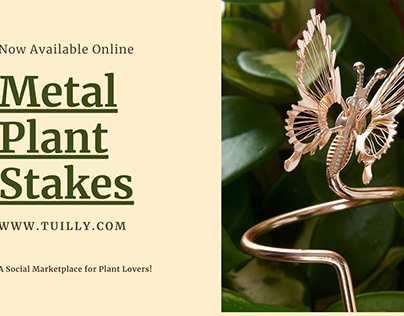 Decorative Plant Stakes for Indoor Plants