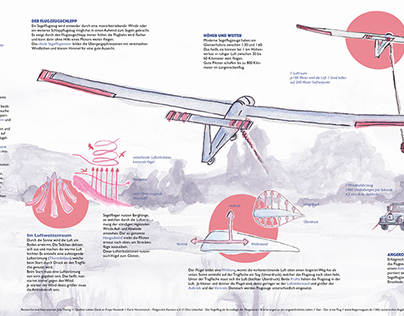 Infographics - Sailplanes and gliders