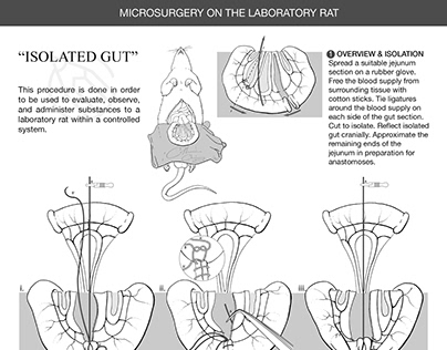 Isolated Gut Microsurgery