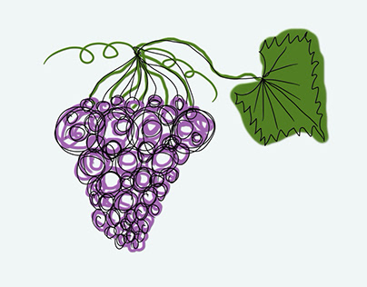 grapes doodle illustration