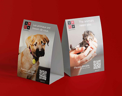 Campagne Faites un don - SPCA de Montréal