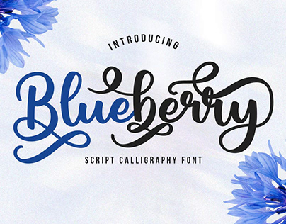BLUBERRY SCRIPT CALLIGRAPHY