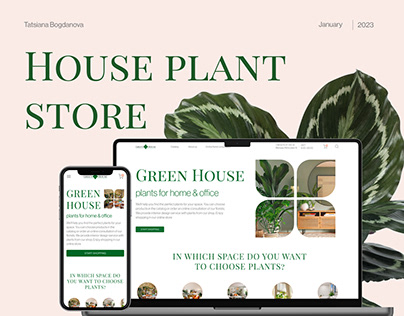House plant store I Интернет-магазин растений для дома