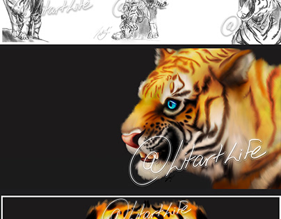 Tigers concept & digital pieces