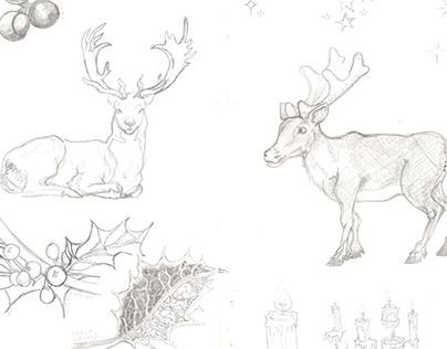 Reindeer- Greetings card project