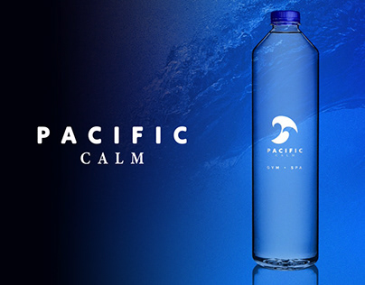 Logo Design And Branding Project for Pacific Calm