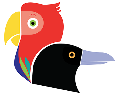 Parrot % Crow : Logo e studio
