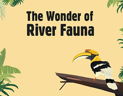 The Wonder of River Fauna - Infographics Design